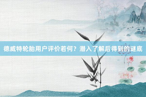 德威特轮胎用户评价若何？潜入了解后得到的谜底